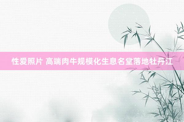性爱照片 高端肉牛规模化生息名堂落地牡丹江