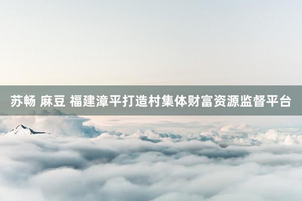苏畅 麻豆 福建漳平打造村集体财富资源监督平台