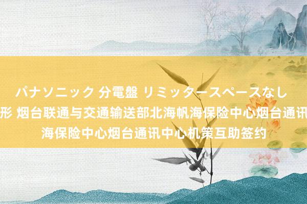 パナソニック 分電盤 リミッタースペースなし 露出・半埋込両用形 烟台联通与交通输送部北海帆海保险中心烟台通讯中心机策互助签约