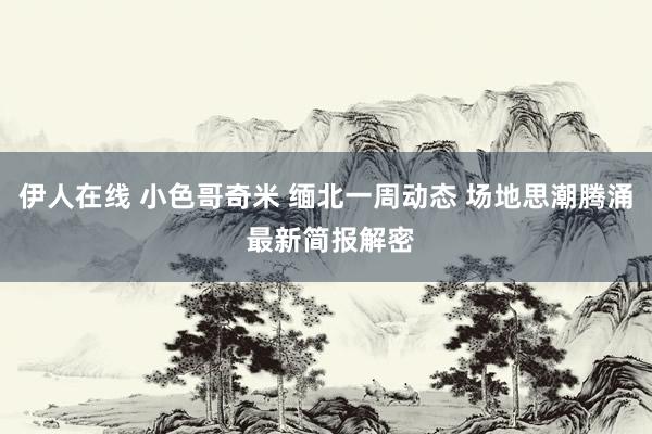 伊人在线 小色哥奇米 缅北一周动态 场地思潮腾涌 最新简报解密
