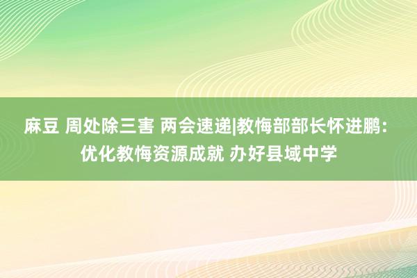 麻豆 周处除三害 两会速递|教悔部部长怀进鹏: 优化教悔资源成就 办好县域中学