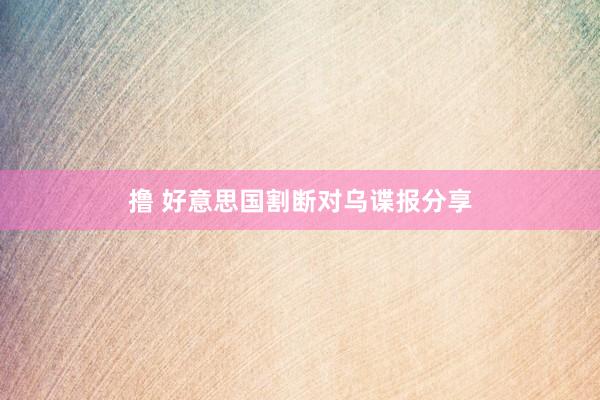 撸 好意思国割断对乌谍报分享
