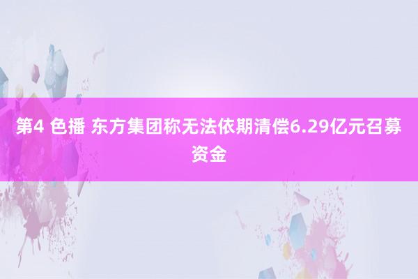 第4 色播 东方集团称无法依期清偿6.29亿元召募资金