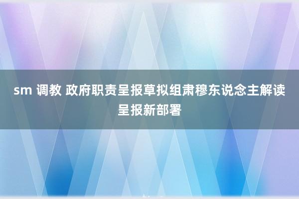 sm 调教 政府职责呈报草拟组肃穆东说念主解读呈报新部署
