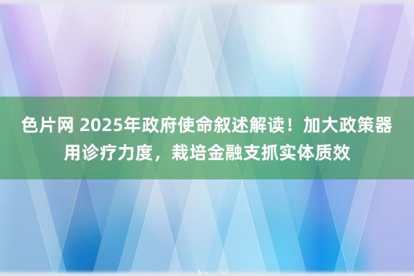 色片网 2025年政府使命叙述解读！加大政策器用诊疗力度，栽培金融支抓实体质效