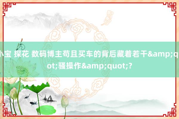 小宝 探花 数码博主苟且买车的背后藏着若干&quot;骚操作&quot;?