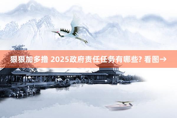 狠狠加多撸 2025政府责任任务有哪些? 看图→