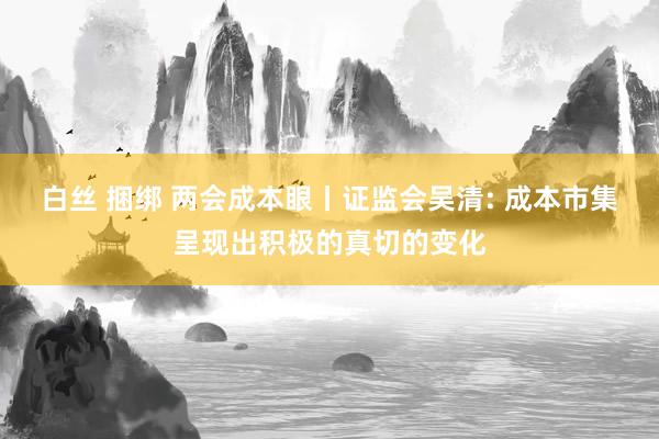 白丝 捆绑 两会成本眼丨证监会吴清: 成本市集呈现出积极的真切的变化