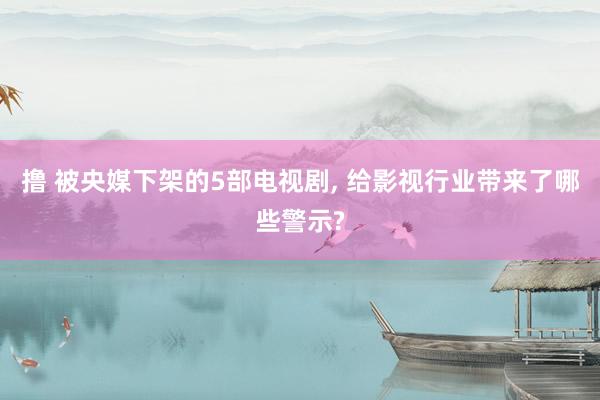 撸 被央媒下架的5部电视剧, 给影视行业带来了哪些警示?
