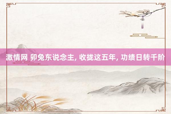 激情网 卯兔东说念主, 收拢这五年, 功绩日转千阶