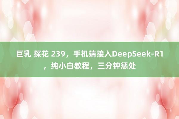 巨乳 探花 239，手机端接入DeepSeek-R1，纯小白教程，三分钟惩处