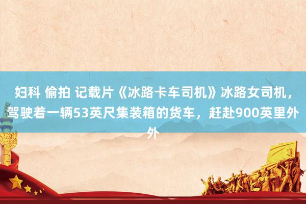 妇科 偷拍 记载片《冰路卡车司机》冰路女司机，驾驶着一辆53英尺集装箱的货车，赶赴900英里外