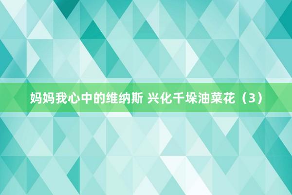 妈妈我心中的维纳斯 兴化千垛油菜花（3）
