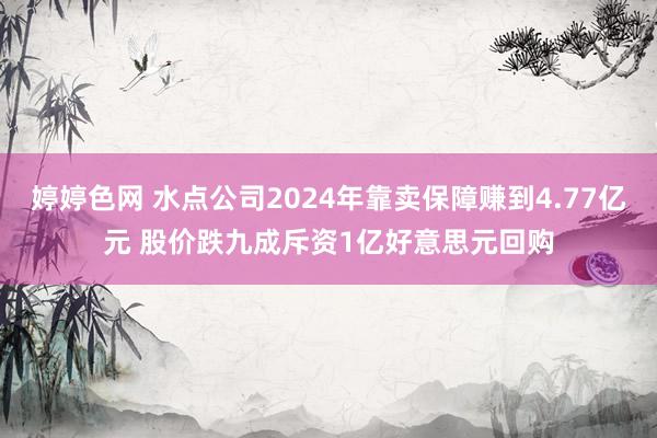 婷婷色网 水点公司2024年靠卖保障赚到4.77亿元 股价跌九成斥资1亿好意思元回购