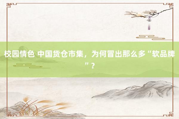 校园情色 中国货仓市集，为何冒出那么多“软品牌”？