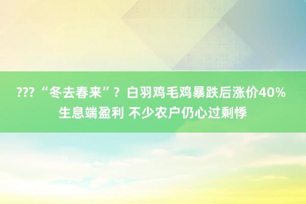 ??? “冬去春来”？白羽鸡毛鸡暴跌后涨价40% 生息端盈利 不少农户仍心过剩悸