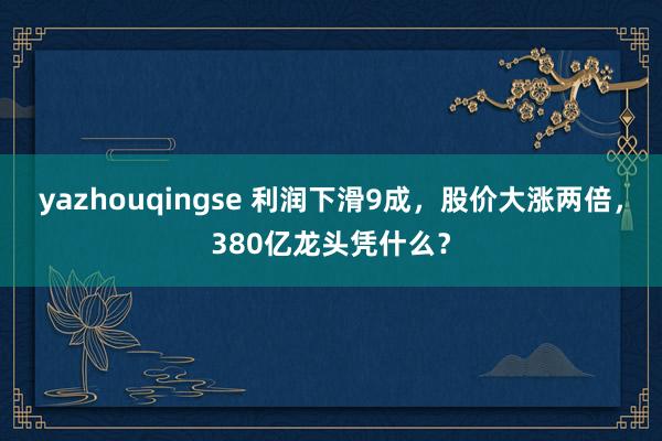 yazhouqingse 利润下滑9成，股价大涨两倍，380亿龙头凭什么？