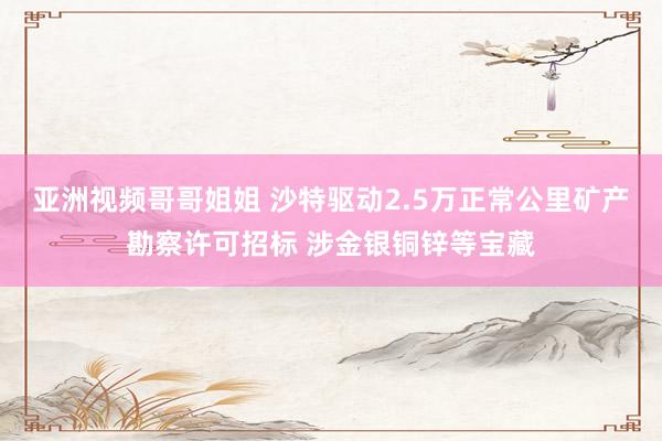 亚洲视频哥哥姐姐 沙特驱动2.5万正常公里矿产勘察许可招标 涉金银铜锌等宝藏