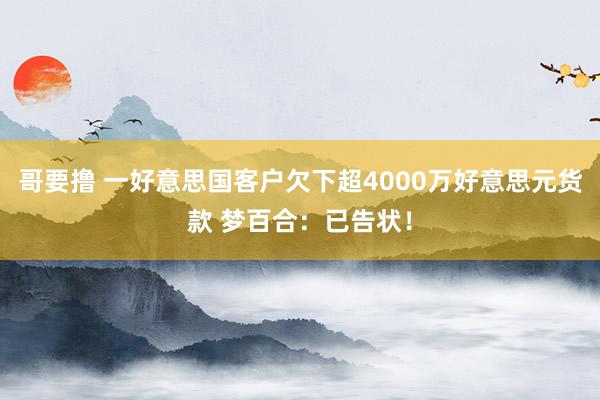 哥要撸 一好意思国客户欠下超4000万好意思元货款 梦百合：已告状！