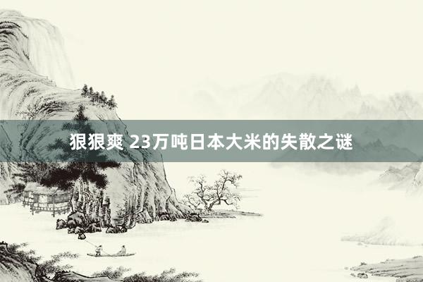 狠狠爽 23万吨日本大米的失散之谜